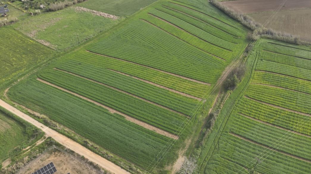 Αγρός καλλιέργειας Άνοιξη