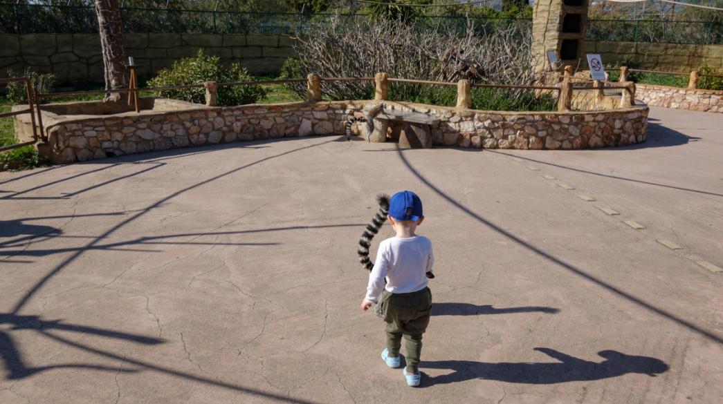 Αττικό Ζωολογικό Πάρκο