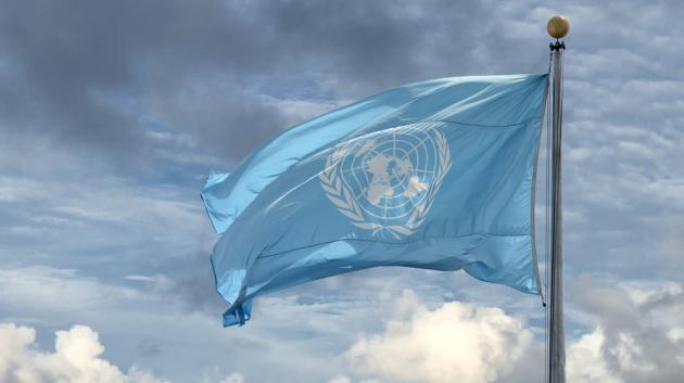 Σημαία Ηνωμένων Εθνών