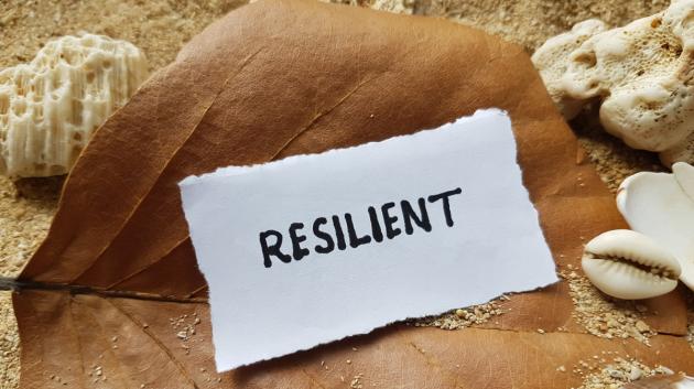 Χαρτί με λέξη resilient