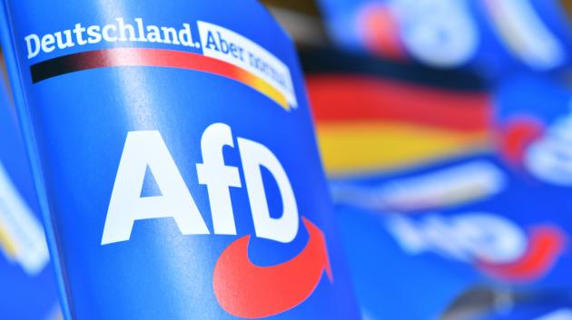 Λογότυπο AfD Γερμανία