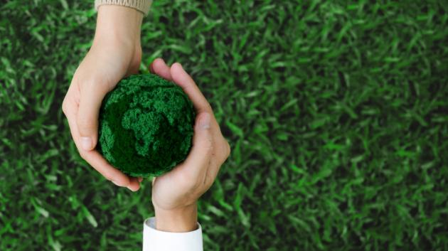 Βιώσιμη Ανάπτυξη χέρια