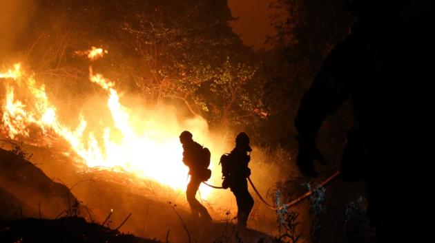 Πυροσβέστες σε πυρκαγιά δάσους