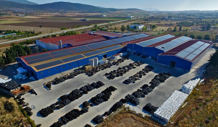 businessdaily-Koronakis-Sxoinia