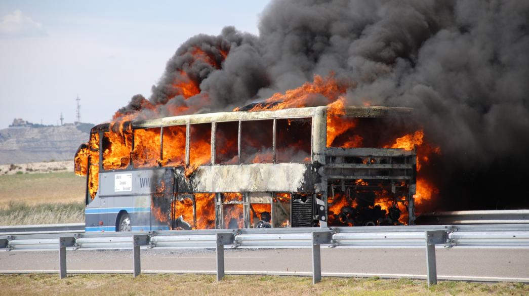 bus
