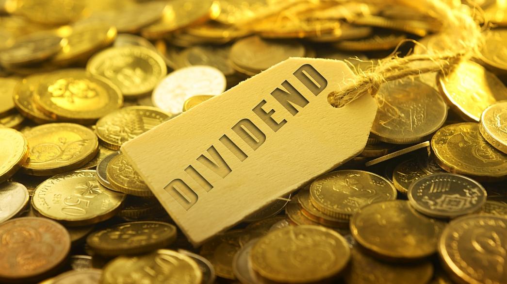 dividend