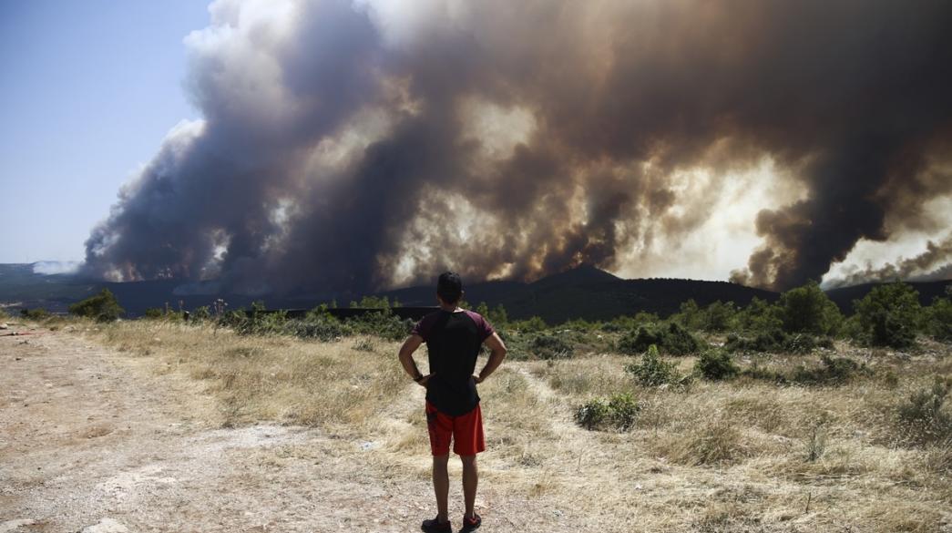 Πυρκαγιά δάσους καπνός