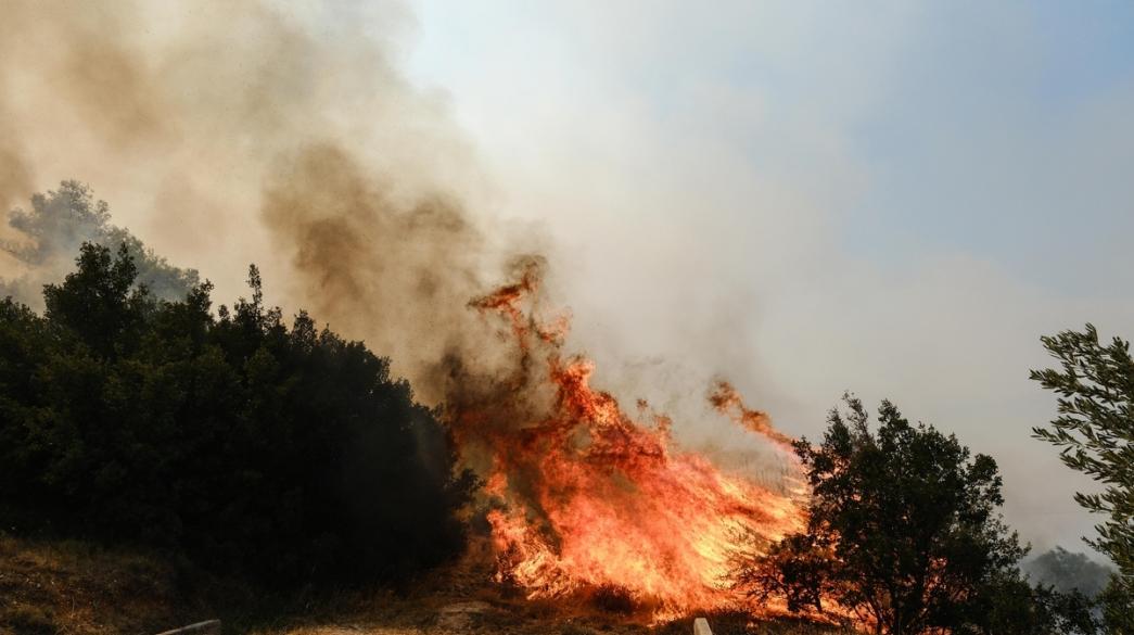 Fotia-Fyli-Attiki
