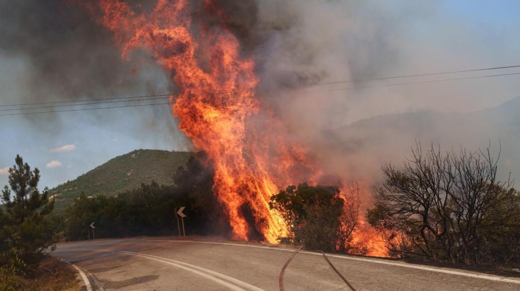 Μεγάλη φωτιά σε ελληνικό δάσος Πυρκαγιά σε δάσος