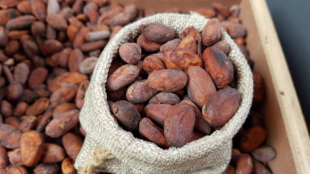 cocoa