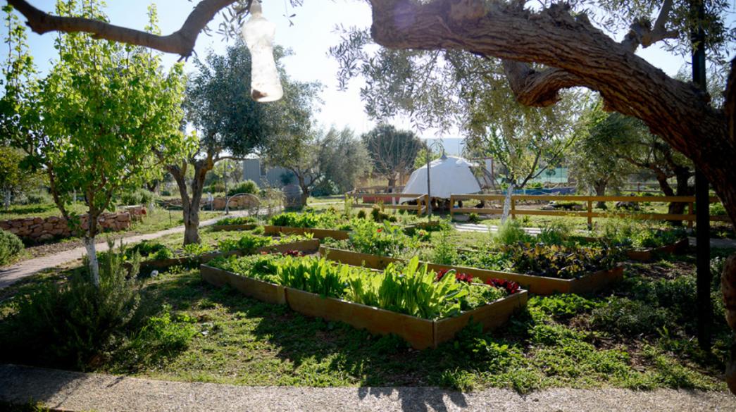 businessdaily-AGROTOURISM