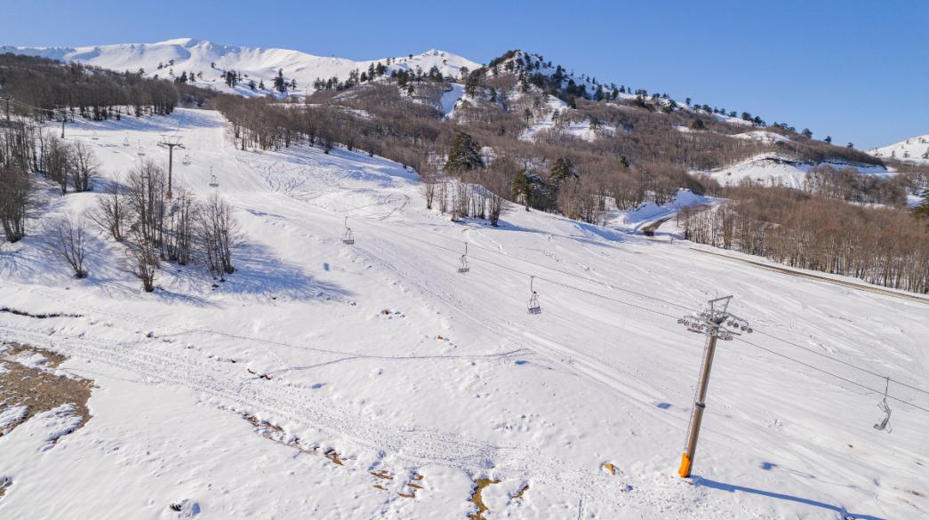 businessdaily-TAIPED-Vassilitsa