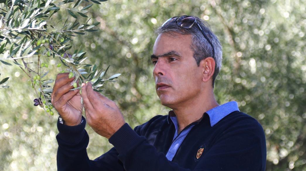 Σακελλαρόπουλος
