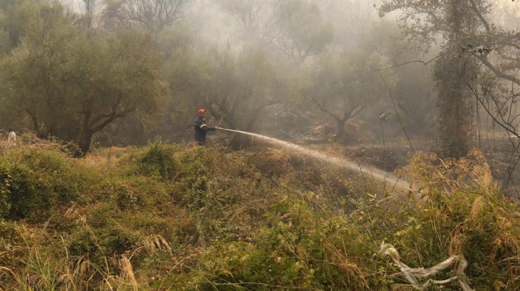 πυρκαγιές Πάτρα