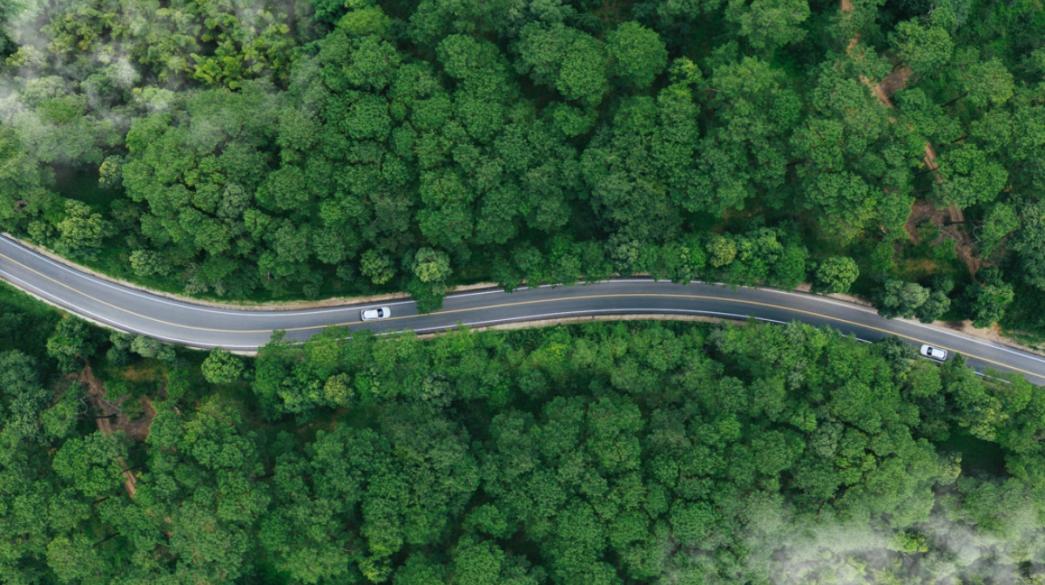 Δάσος και δρόμος