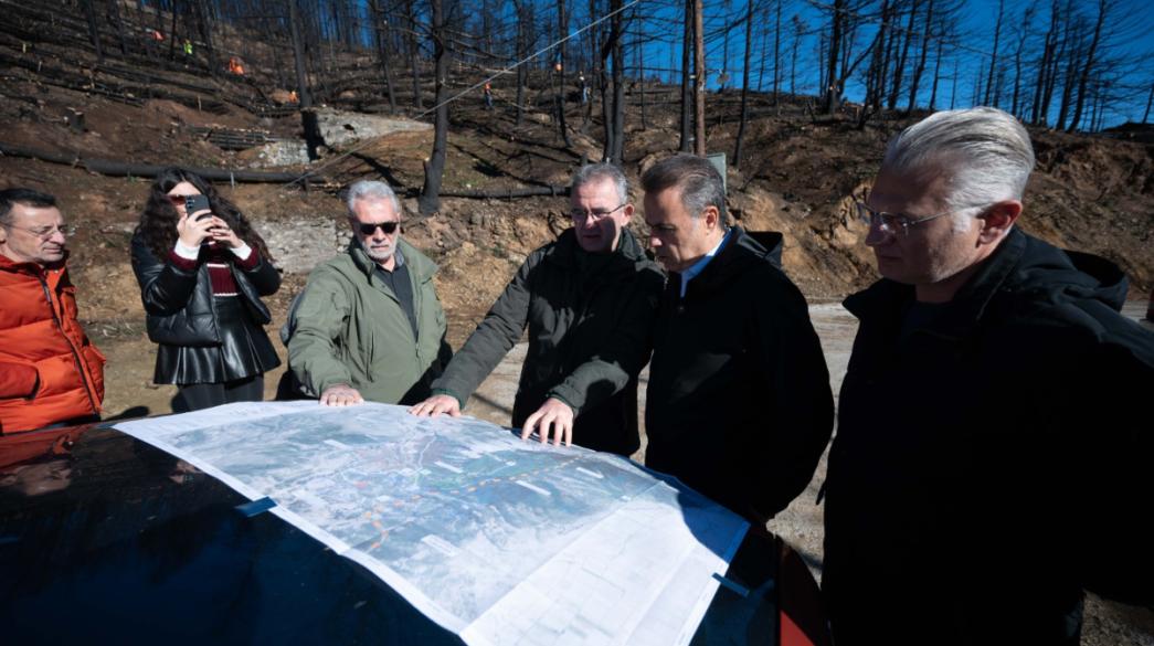 Παπασταύρου, Υπουργείο Περιβάλλοντος και Ενέργειας