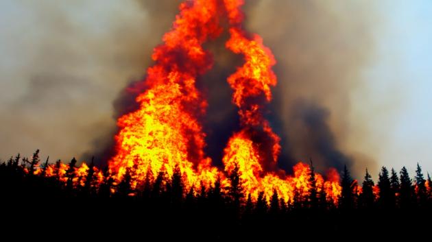 Φλόγες δάσους πυρκαγιά