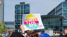 Germania, AfD
