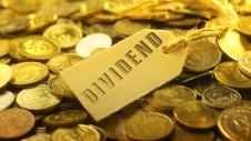 dividend