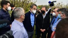 Mitsotakis, Korinthos, Agrotes
