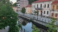 Florina