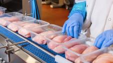 bio-chicken-organic