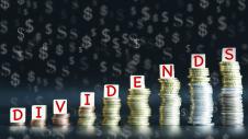 Merismata, Merisma, Dividends