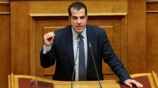 Θάνος Πλεύρης βουλή