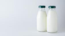 milk-protein