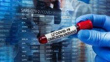 Koronoios, Corona Virus, Omikron