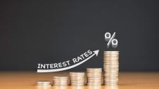 Epitokia, Rates