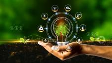 green transformation