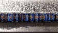 Vergina_beer