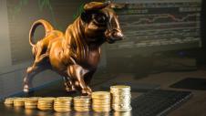 bull_market