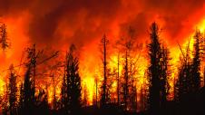 Fires, Foties, Pyrkagies