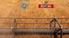 vergina-zythopoiia-makedonias-thrakis