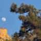 Άγιος Γεώργιος Λυκαβηττός